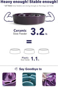 LE TAUCI Dog Bowls Slow Feeder Ceramic, 1.5 Cup Slow Feeding Bowl for Small and Medium Breed, Puzzle Dog Food Bowl for F