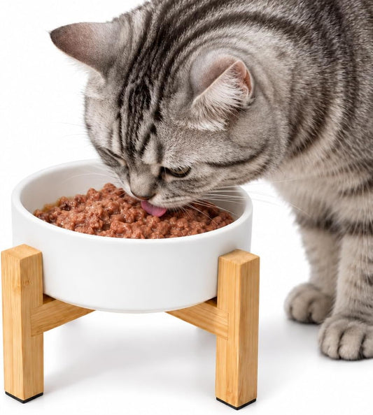 Elevated Ceramic Cat Bowl - Cat Food Bowl with Bamboo Stand - Raised Dog Dish for Puppies - Anti Vomiting, Stress Free - 13.5 oz / 400 ml - White
