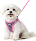 Eagloo Small Dog Harness and Leash Set, Step in Puppy Vest with Breathable Soft Mesh, Walking Reflective Pet Harness for Small Dogs, Pink, S