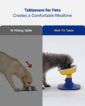PETHROOM Well Fit Elevated Dog Bowl