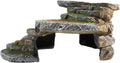 PENN-PLAX (REP183) Reptology Shale Scape Step Ledge & Cave Hideout – Decorative Resin for Aquariums & Terrariums – Great