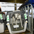 Hard-Sided Pet Kennel Protective Net, Thickened Encrypted Nylon Pet Cage Protection Net Cover, for Pet Airline Shipment,