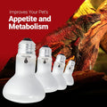 4 Pack 50-Watt Basking Light for Reptile - Heat Lamp Bulbs for Reptiles & Amphibians Broad Spectrum Reptile Light for Gl