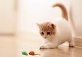 20 Halloween Colorful Furry Mice Cat Toys with Catnip and Rattle Sound Made of Real Rabbit Fur, Interactive Catch Play T