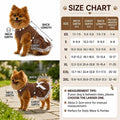 Petitebella Rugby Print Puppy Dog Dress