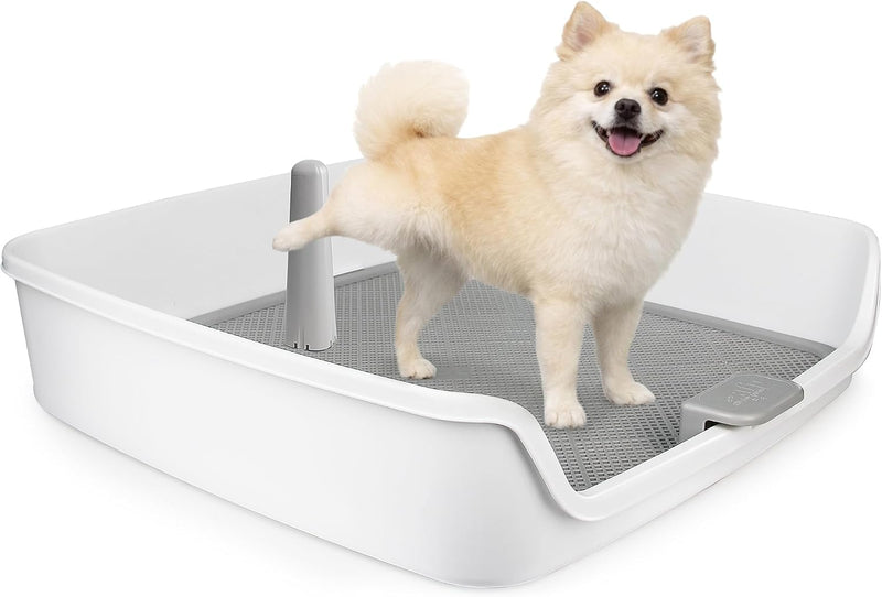 ALL FOR PAWS Dog Potty Tray, 24.8