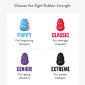 KONG Senior - Dog Toy with Gentle, Natural Rubber - Durable Dog Toy for Older Dogs - Use Treats with Stuffable Chew Toy - Treat Toy for Chewing & Fetching - for Small Dogs