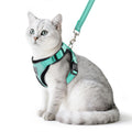 PUPTECK Cat Harness and Leash Set Escape Proof Reflective Cat Walking Harness Adjustable Soft Breathable Mesh Vest for Small Pets, Aquamarine, S