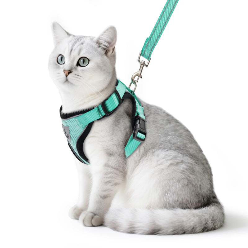 PUPTECK Cat Harness and Leash Set Escape Proof Reflective Cat Walking Harness Adjustable Soft Breathable Mesh Vest for Small Pets, Aquamarine, S