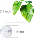 CousDUoBe 2 Pack Betta Fish Leaf Pad Improves Betta's Health by Simulating the Natural Habitat - Natural, Organic, Comfo