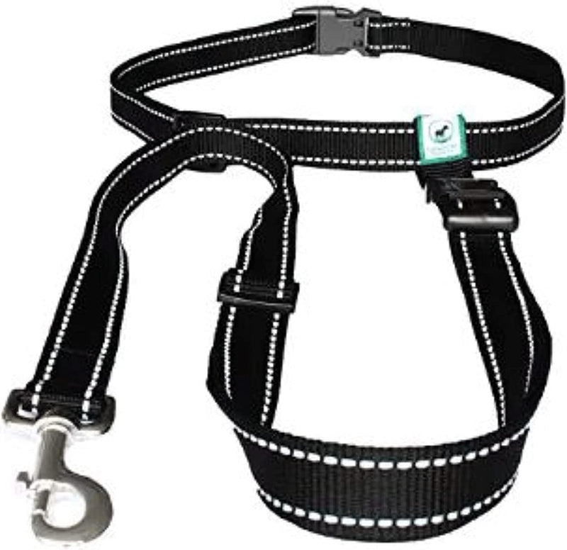 Caldwell's Pet Supply Co. Hands-Free Dog Leash, Adjustable Waist Leash for Dog Walking, Non-Bungee, Hands Free Harness, 