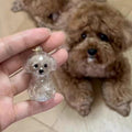 Amakunft Dog Hair Collector Keychain, Portable Pet Hair Memorial Keychain
