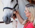 Horse Ivermectin Paste 1.87% – Apple Flavored Oral Horse Dewormer Syringe – 6.08g Tube Treats Horses Up to 1250 lbs (3-P