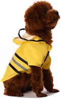 Large/Yellow