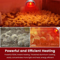 DaToo Infrared Heat Lamp Bulb for Chickens Red Heat Lamp Flood Light Heat Lamp Bulb 150 W Heating Bulbs for Brooder Coop