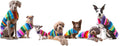 Dog Clothes - Handmade Dog Poncho from Authentic Mexican Blanket by Baja Ponchos (Blue, Small)