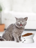 Y YHY Cat Bowl Anti Vomiting, Raised Food Bowls, Tilted Elevated Bowl, Ceramic Pet Food Bowl for Flat Faced Cats, Small Dogs, Protect Pet's Spine, Dishwasher Safe (5 Inches, White)