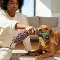 Crinkle Duck Rope and Chew Bird Dog Toy, Large Size, Brown