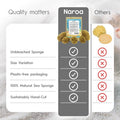 Naroa Natural Hermit Crab Sponges - Pack of 5 | Unbleached Sea Sponge for Water Drinking Safety | Aquarium Decor Balance