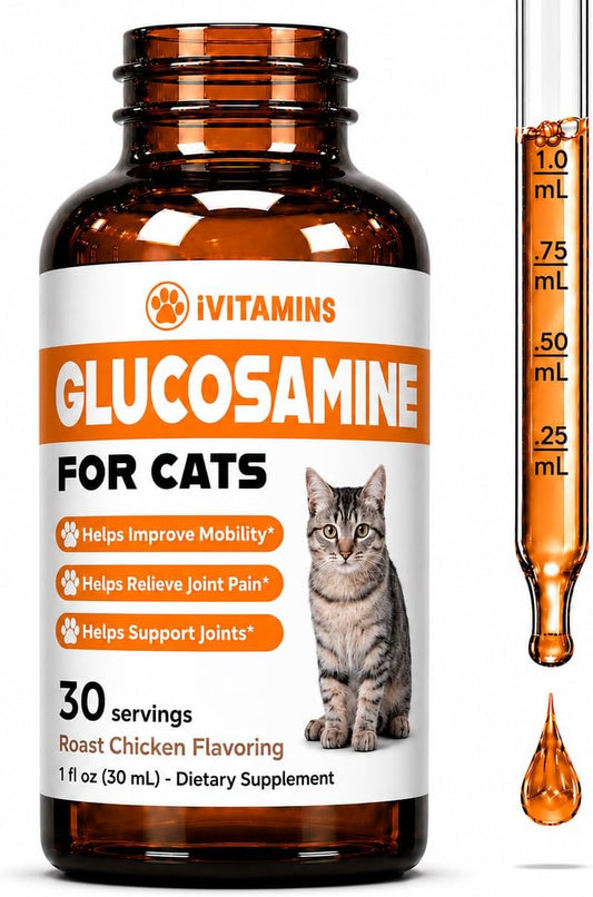 Glucosamine for Cats - Cat Glucosamine - Helps to Support Healthy Joints, Reduce Inflammation, Improve Mobility, & Much More - Cat Joint Supplement - 1 fl oz - Chicken Flavor