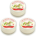 Hollyberry Mini Candles Plant-Based Wax, 3 Pack Pet House