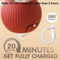 Rocfish Interactive Cat Toys for Indoor Cats, Automatic Cat Ball Toy