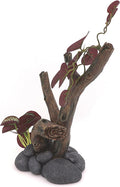 AQUA KT Reptile Climbing Tree Branch Rain Forest Style for Lizard