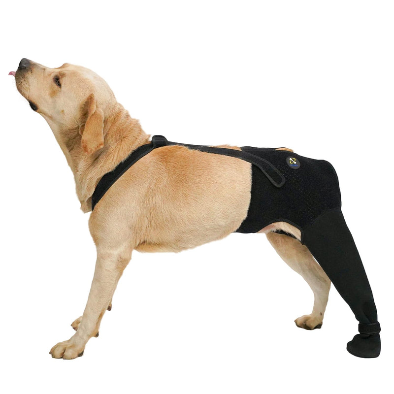 COODEO Dog Rear Leg Recovery Sleeve, Waterproof Hind Leg Sock for Dogs, Anti-Slip Paw Cover, Wear Resistant Protective Sleeve for Hot Spots, Sores & Outdoor Use (Black, L_Right Rear Leg)