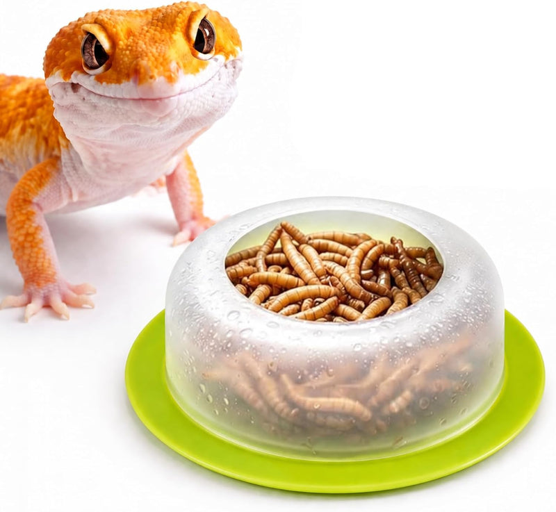 BETTERDAY Reptile Food Dish, Anti-Escape Feeder Bowl, Small 1-Pack