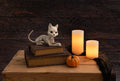Crazy Bonez Cute Skeleton Cat