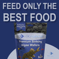 Large 18mm Algae Wafer - Algae Wafers for Bottom Feeders - The Best Pleco Wafers & Pleco Food Available - Algae Wafers f