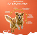 Pawfect Nature's Sip Camel Milk Powder with Papaya, Banana, Broccoli & Flaxseeds for Dogs- Easily Digestible- Pre & Prob