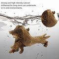 Driftwood for Aquarium Decor, Fish Tank Decor, 6 Pcs Reptile Branches, Drift Wood for Fishtank, Aquarium Hardscape, Craf