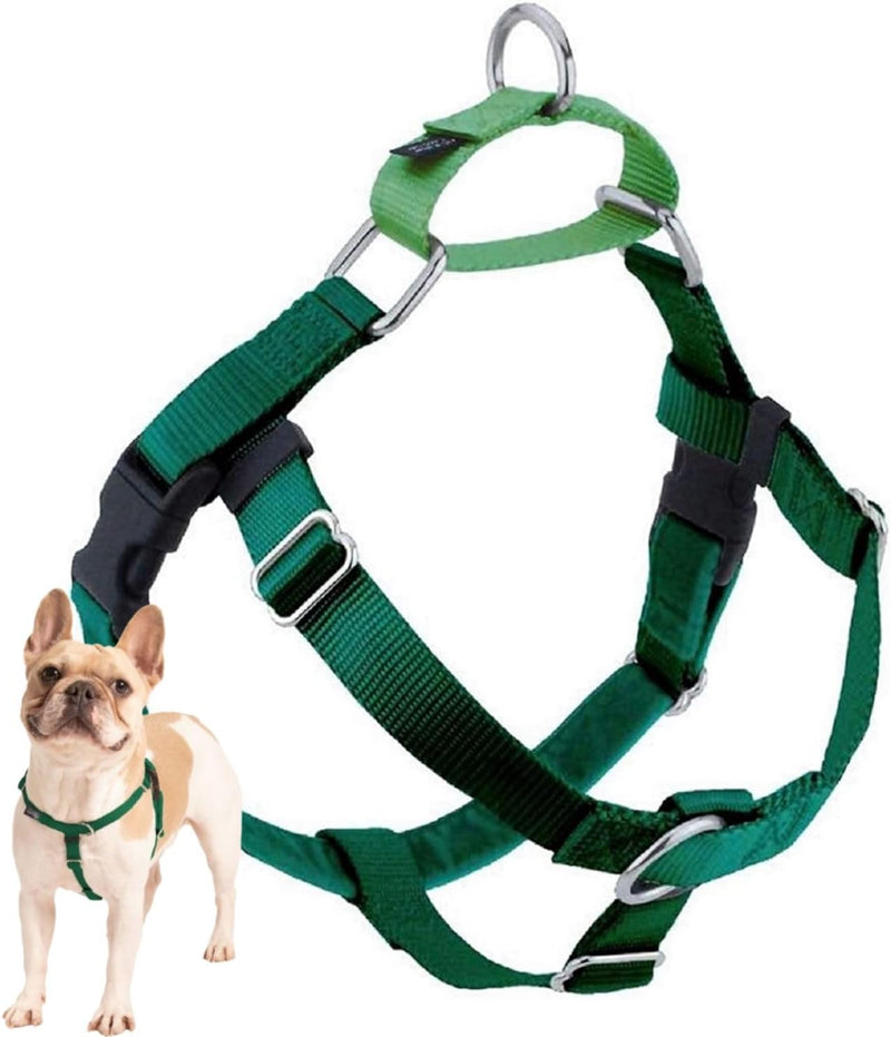 2 Hounds Design Freedom No Pull Dog Harness, 1 inch LG, Kelly Green