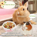 2 Pcs Hamster Ceramic Bowl, Small Animals Anti-Turning Food Water Bowl for Rabbit Hamster Guinea Pig Hedgehog Squirrel (