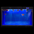 ELEBOX Aquarium Background Blue Black Fish Tank Background Wallpaper Double-Sided Aquarium Backing, Aquarium Decorations