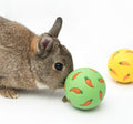 Niteangel Small Animal Treat Ball: Adjustable Treat Dispenser