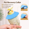 4Pcs Bird Cone Collar for Wound Biting Prevention & Anti Plucking