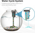 3-Gallon Aquarium Starter Kit, Ideal for Betta Fish and Other Tropical Fish, Includes Power Filter, LED Light, Hood, and