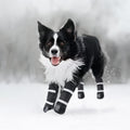 Hipaw Waterproof Dog Boots for Winter Snow Rain,Non-Slip Dog Shoes for Medium to Large Dogs,Extended Cuff Paw Protectors