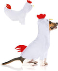 Chicken/X-Large