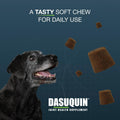Nutramax Dasuquin Joint Health Supplement for Large Senior Dogs – for Immune Support, Skin & Coat Health, and Brain Health, 84 Soft Chews