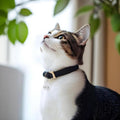 JJUNW 2 Pcs Mini Dog Collar Bells, Cat Bell, Silver Pet Pendant Accessories for Training, Loud Charms for Dogs and Cats