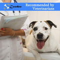 Coodeo Dog Lift Harness, Pet Support & Rehabilitation Sling Lift Adjustable Padded Breathable Straps for Old, Disabled, 