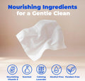Best Pet Supplies 8" x 9" Large Dog Wipes - Cleaning and Deodorizing for Paws and Coat - Gentle Formula with Lavender Vitamin E for Puppies and Cats - 100 Count
