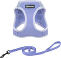 Lavender/M (Chest: 15 - 17")