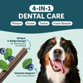 Shameless Pets Blueberry & Mint Dental Chews for Dogs, 8 Chews
