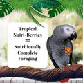 LAFEBER'S Tropical Fruit Nutri-Berries Pet Bird Food, Made with Non-GMO and Human-Grade Ingredients, for Parrots (10 oz 