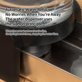 PAKEWAY 1.1 Gallon Gravity Cat Water Dispenser: Filtered Water for Cats