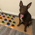 Hunger For Words Talking Pet Starter Set